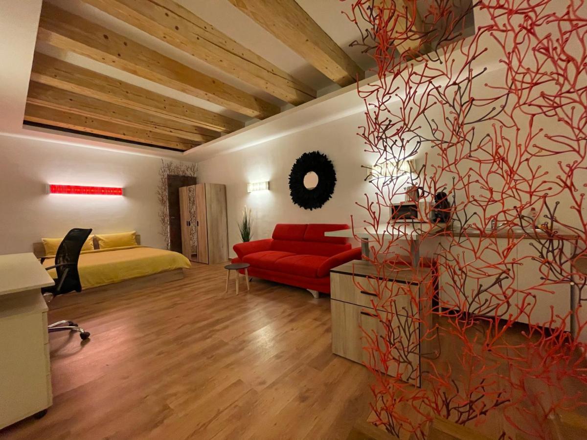 New Workspace Studio Savoya9 Self Check In Old City Center 티미쇼아라 외부 사진